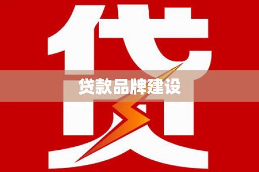 龙沙贷款品牌建设