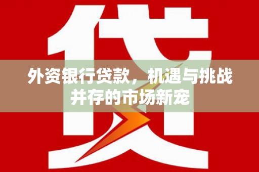 剑川外资银行贷款，机遇与挑战并存的市场新宠