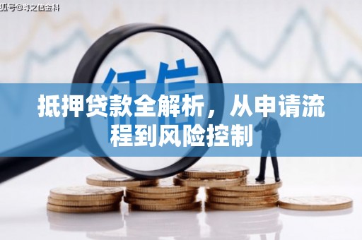 普湾新区抵押贷款全解析，从申请流程到风险控制