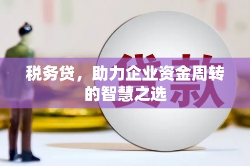江永税务贷，助力企业资金周转的智慧之选