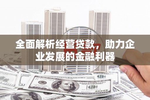 山南全面解析经营贷款，助力企业发展的金融利器