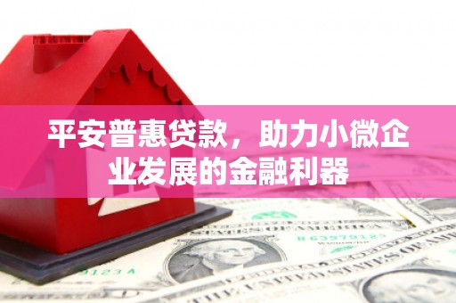 垣曲平安普惠贷款，助力小微企业发展的金融利器