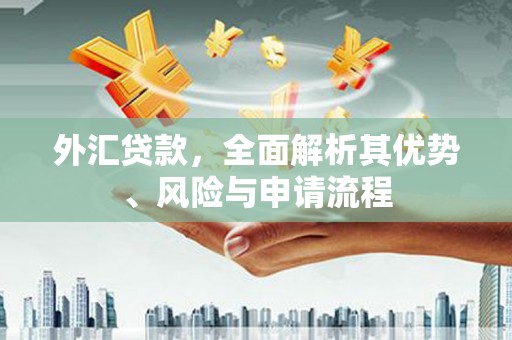 古冶外汇贷款，全面解析其优势、风险与申请流程