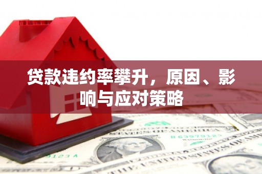 大名贷款违约率攀升，原因、影响与应对策略