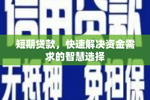 颍上短期贷款，快速解决资金需求的智慧选择