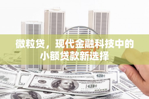 建宁微粒贷，现代金融科技中的小额贷款新选择