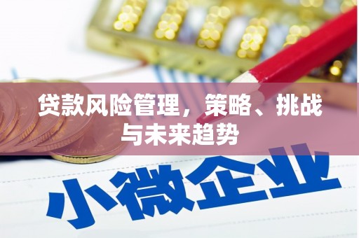 竹崎贷款风险管理，策略、挑战与未来趋势