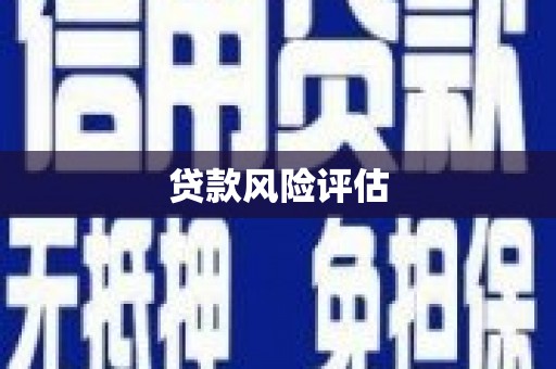 大安贷款风险评估