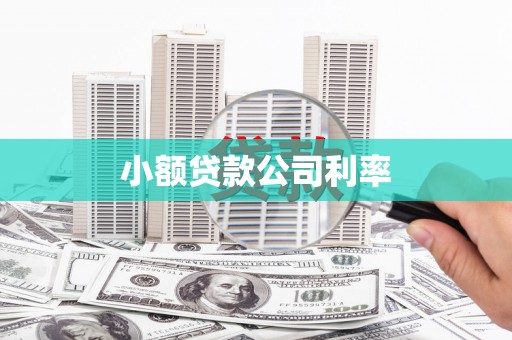 图们小额贷款公司利率