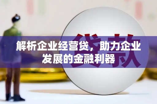 剑阁解析企业经营贷，助力企业发展的金融利器