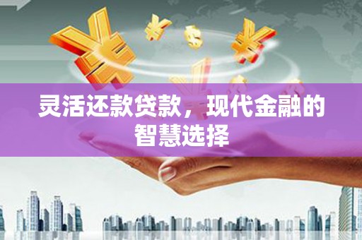 武进灵活还款贷款，现代金融的智慧选择