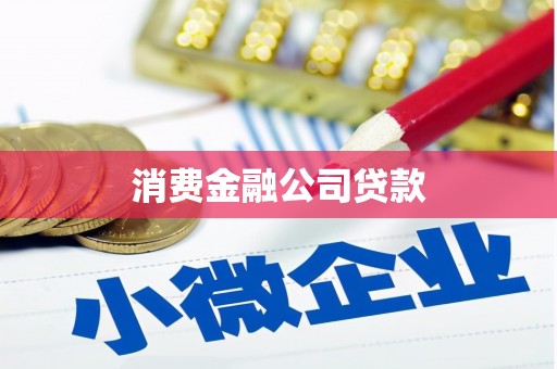 岱岳消费金融公司贷款