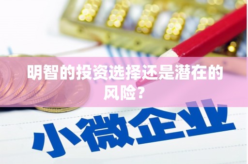 自贡明智的投资选择还是潜在的风险？
