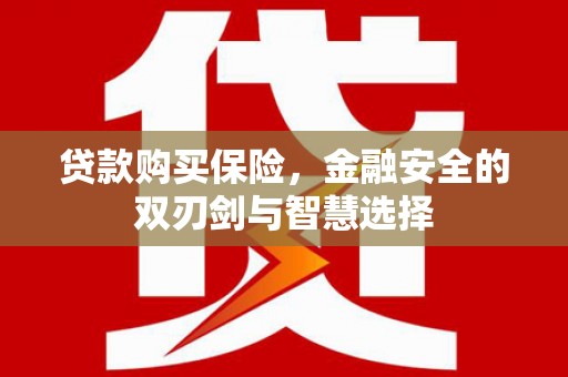湖北贷款购买保险，金融安全的双刃剑与智慧选择