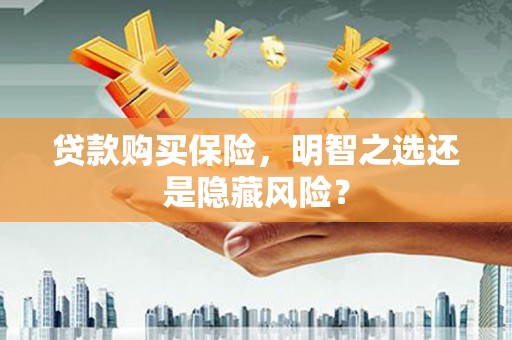 阜康贷款购买保险，明智之选还是隐藏风险？