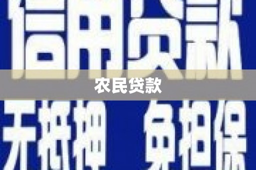凤县农民贷款