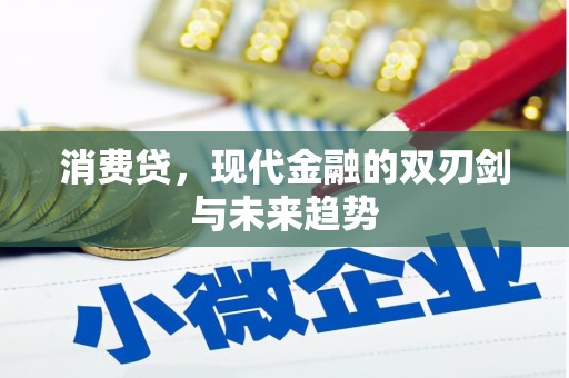 丰城消费贷，现代金融的双刃剑与未来趋势