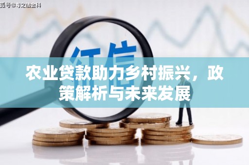 建宁农业贷款助力乡村振兴，政策解析与未来发展