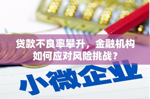 双城贷款不良率攀升，金融机构如何应对风险挑战？