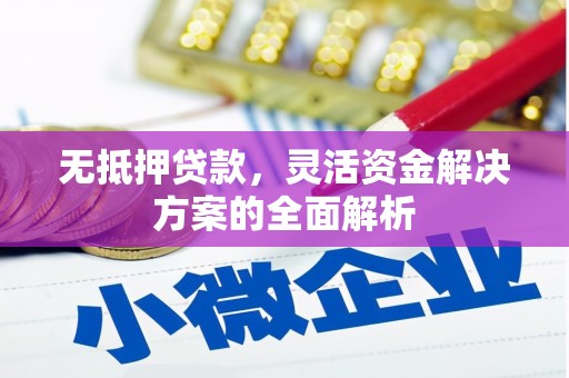 乳源无抵押贷款，灵活资金解决方案的全面解析