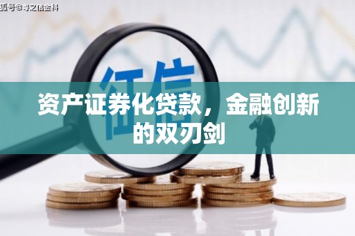 镇巴资产证券化贷款，金融创新的双刃剑