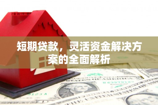 九龙短期贷款，灵活资金解决方案的全面解析