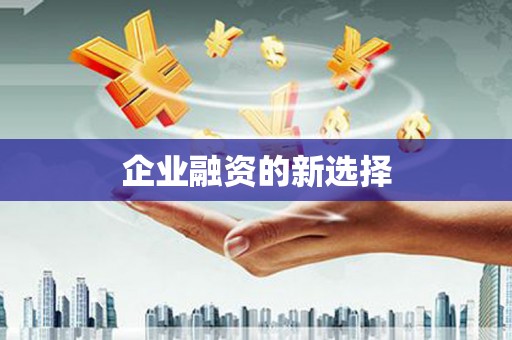 阜城企业融资的新选择