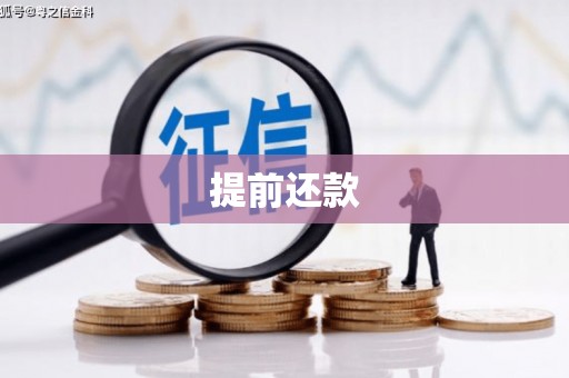 仙桃提前还款
