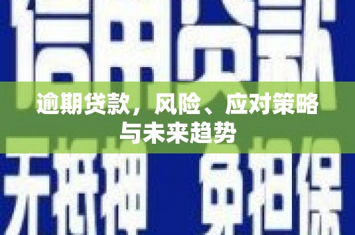 临海逾期贷款，风险、应对策略与未来趋势