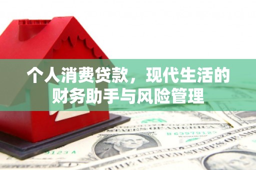 临猗个人消费贷款，现代生活的财务助手与风险管理