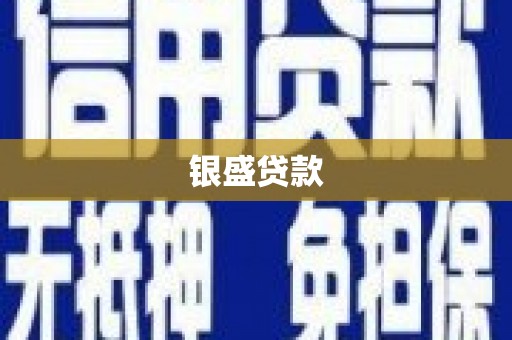 新蔡银盛贷款