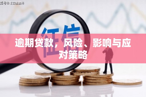 果洛逾期贷款，风险、影响与应对策略