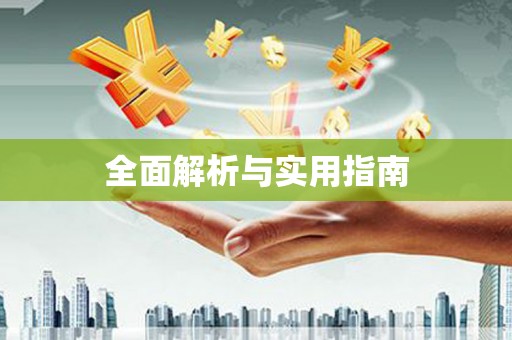 西林全面解析与实用指南