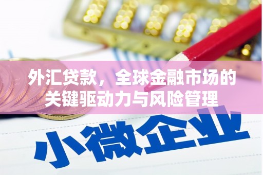 那曲外汇贷款，全球金融市场的关键驱动力与风险管理