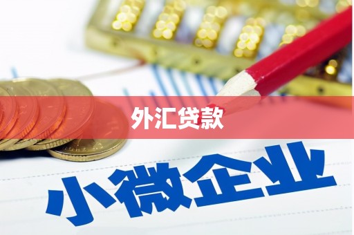 兴宁外汇贷款