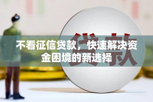 志丹不看征信贷款，快速解决资金困境的新选择