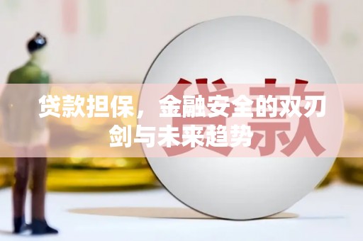 吴忠贷款担保，金融安全的双刃剑与未来趋势