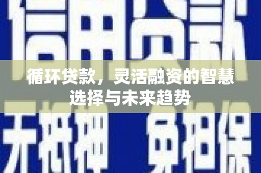 保税港区循环贷款，灵活融资的智慧选择与未来趋势