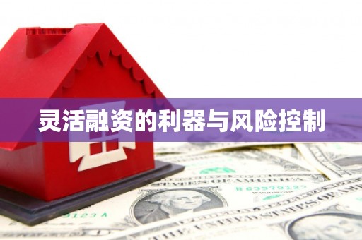 德清灵活融资的利器与风险控制