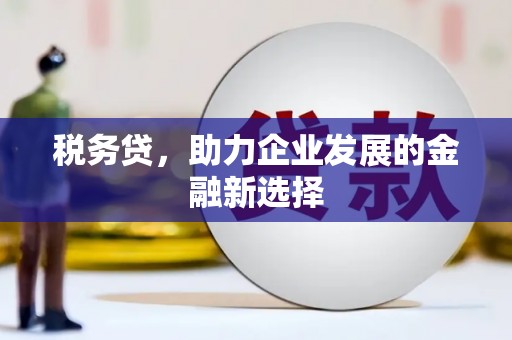 沈北新区税务贷，助力企业发展的金融新选择
