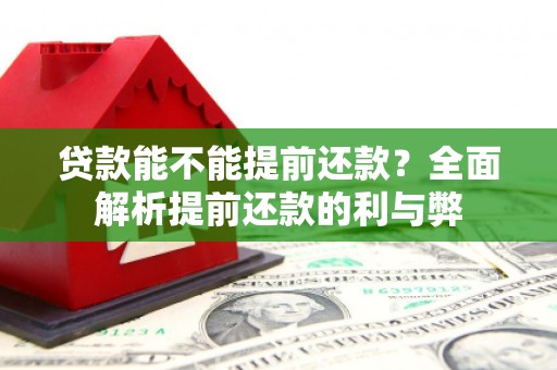 长寿贷款能不能提前还款？全面解析提前还款的利与弊