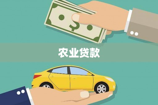 松江农业贷款