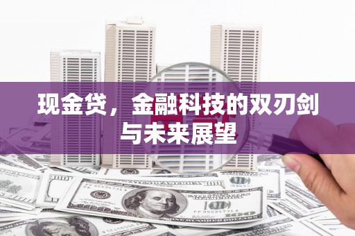 武义现金贷，金融科技的双刃剑与未来展望
