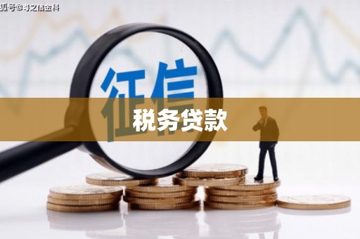 北投税务贷款