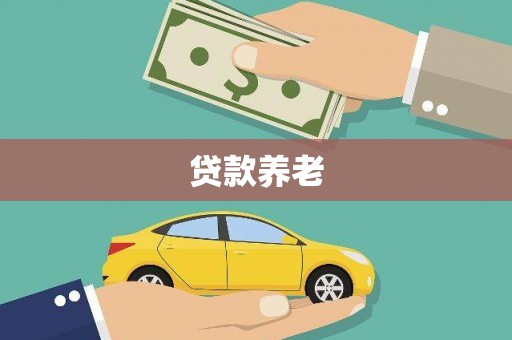 浑南贷款养老