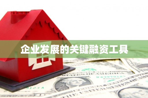 南化企业发展的关键融资工具
