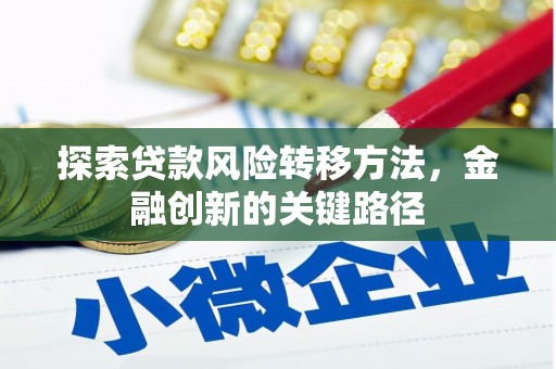 岑巩探索贷款风险转移方法，金融创新的关键路径