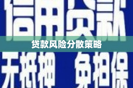 芦山贷款风险分散策略