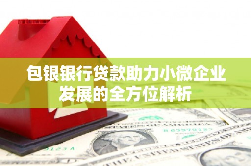 邵东包银银行贷款助力小微企业发展的全方位解析