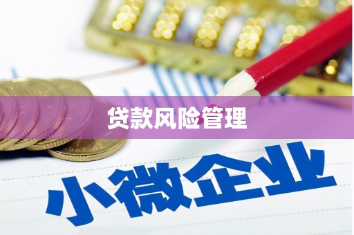 昌图贷款风险管理